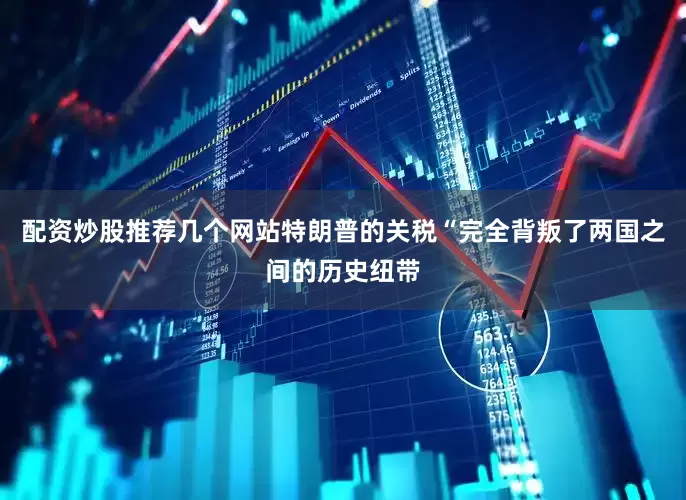 配资炒股推荐几个网站特朗普的关税“完全背叛了两国之间的历史纽带