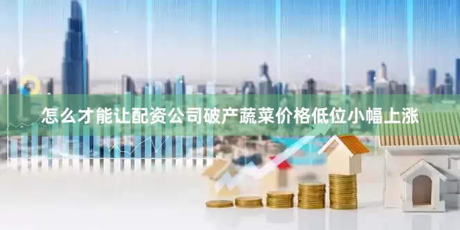 怎么才能让配资公司破产蔬菜价格低位小幅上涨