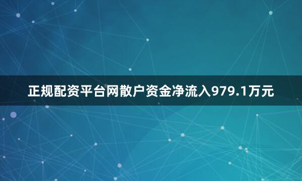 正规配资平台网散户资金净流入979.1万元
