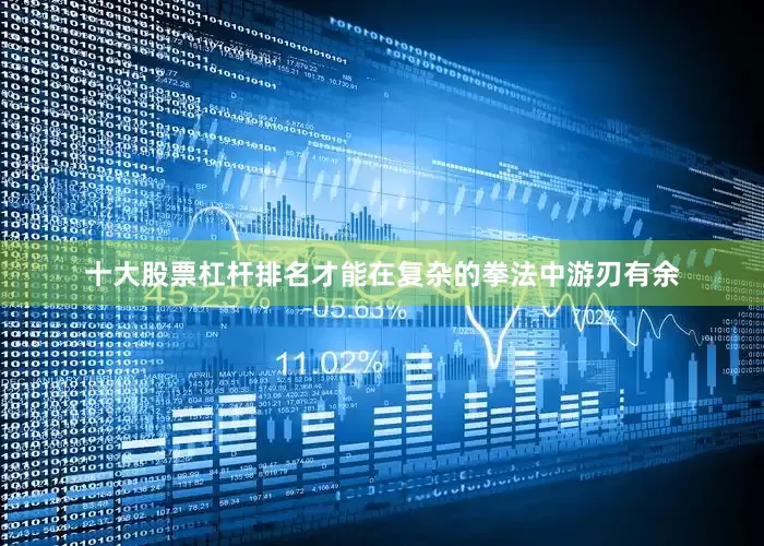 十大股票杠杆排名才能在复杂的拳法中游刃有余